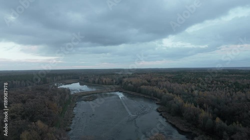Wallpaper Mural View of the lake surrounded by forest Torontodigital.ca
