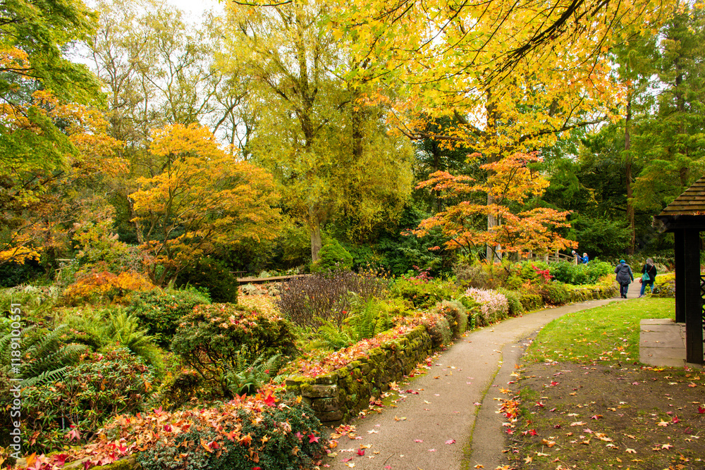 Naklejka premium Trees in autumn colors in a botanic garden.