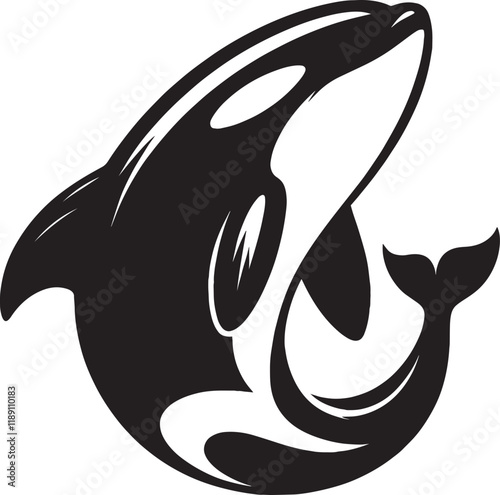 Orca whale silhouette vector illustration isolated on white background