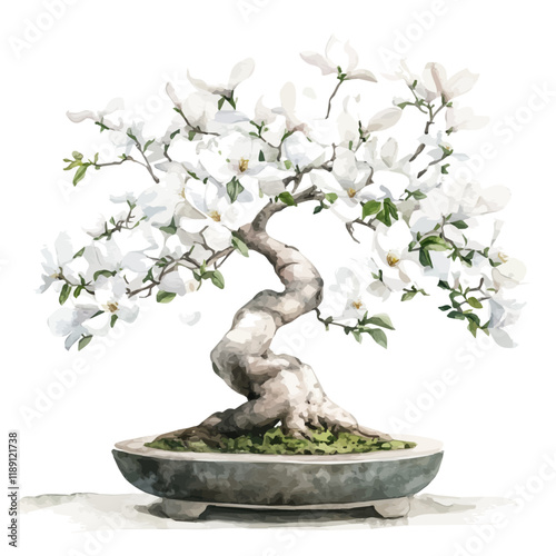 A watercolor vector painting of a Star Magnolia bonsai, isolated on a white background. Star Magnolia bonsai vector.

