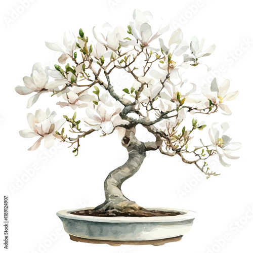 A watercolor vector painting of a Star Magnolia bonsai, isolated on a white background. Star Magnolia bonsai vector.

