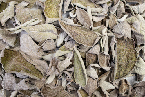 Fototapeta Naklejka Na Ścianę i Meble -  Sage dried leaves background, abstract culinary texture