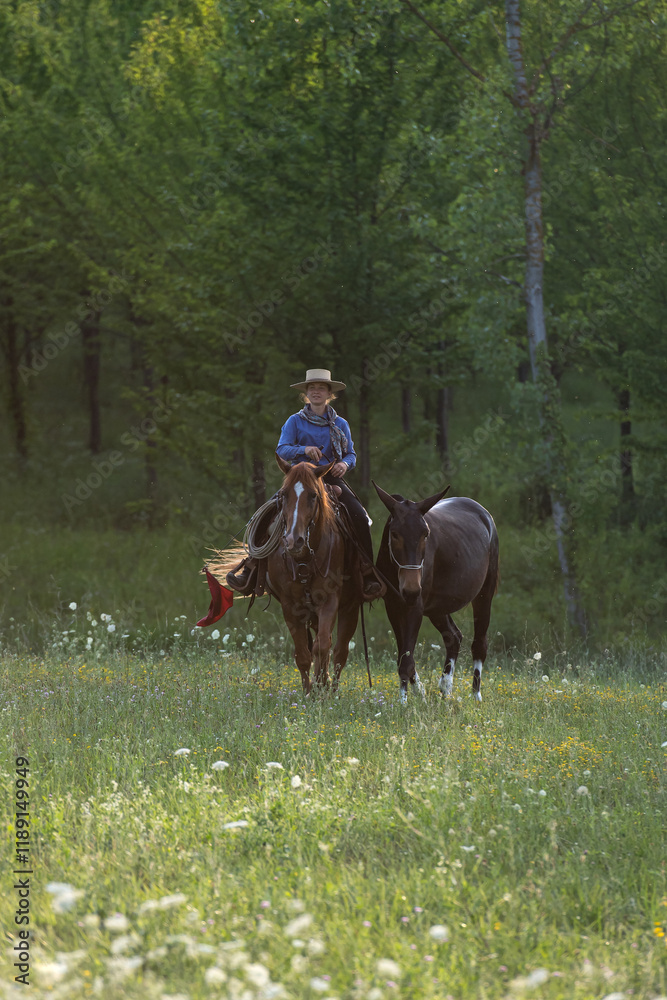 Cowgirl riding her horse and leading a mule on a hill in her ranch Cowgirl riding her horse and leading a mule on a hill in her ranch