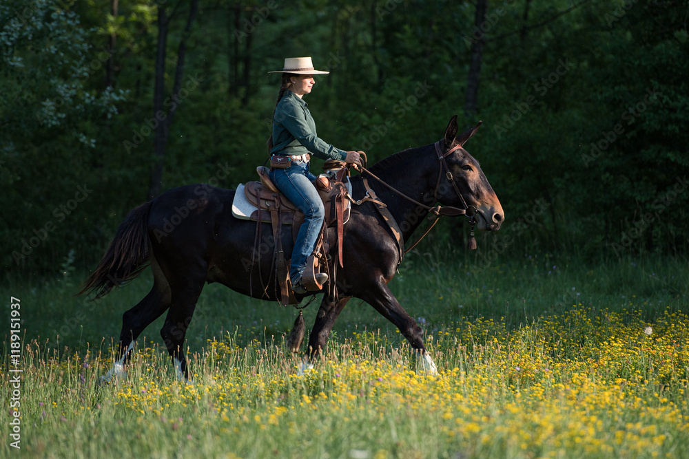Cowgirl riding a mule in the countryside Cowgirl riding a mule in the countryside