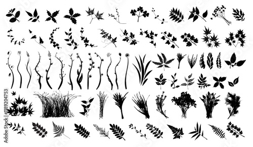 Natural Leaves, Bushes Silhouette Vector Pack graphic drawing illustration for stickers, streetwear, t-shirts, logos, print-on-demand, print, or branding photo