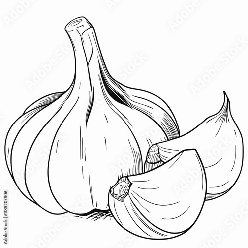 Garlic bulb and cloves in black and white drawing