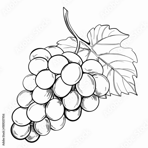 Bunch of grapes with leaves in monochrome sketch