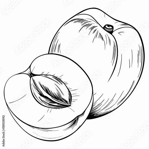 Whole and halved peach, black and white illustration
