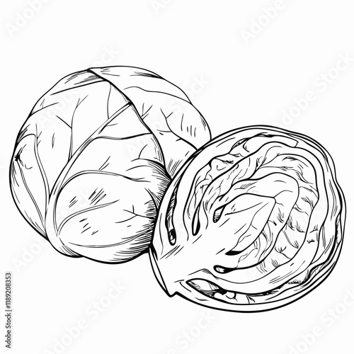 Whole and halved brussels sprouts, black and white drawing