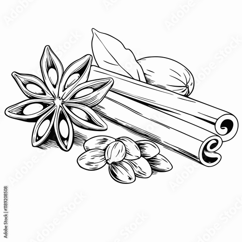 Star anise, cinnamon, and nutmeg, black and white sketch