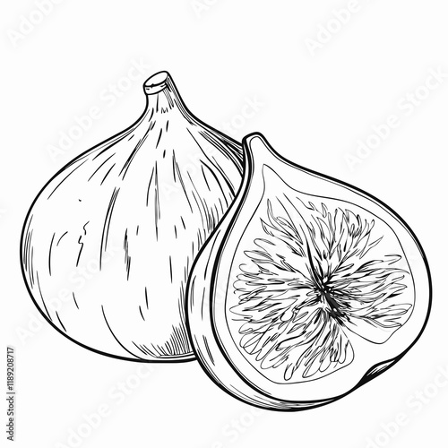 Whole and sliced fig illustration in black and white