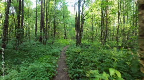 Wallpaper Mural Cyclists POV rolling on a sunny park trail Torontodigital.ca
