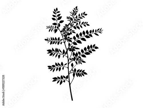 Locust tree black silhouette vector illustration