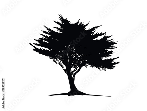 Monterey Cypress tree silhouette vector illustration