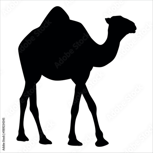 Black Camel Silhouette vector illustration