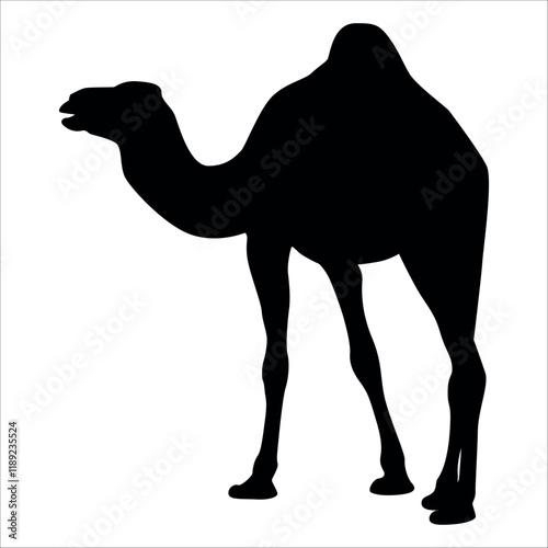 Black Camel Silhouette vector illustration