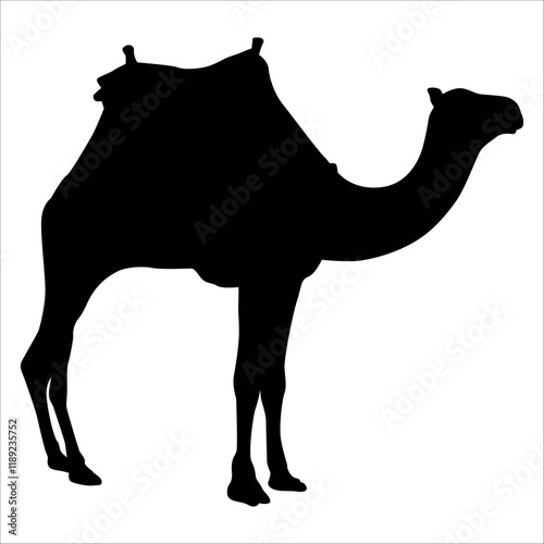 Black Camel Silhouette vector illustration