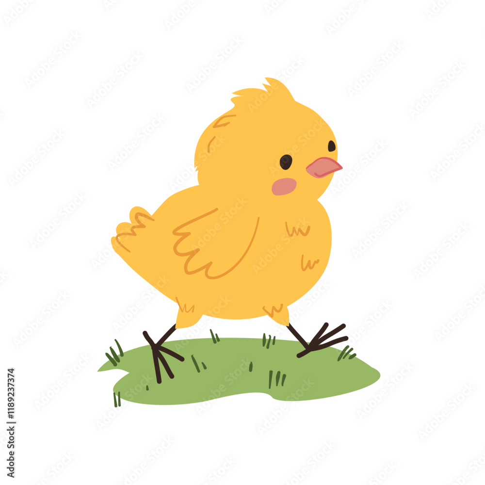 Cute Yellow Chick Walking on Grass