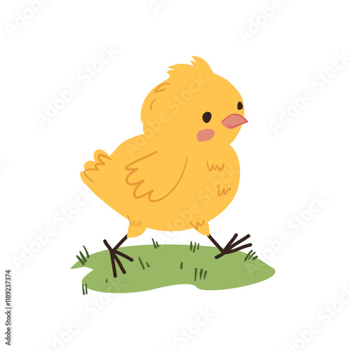 Cute Yellow Chick Walking on Grass