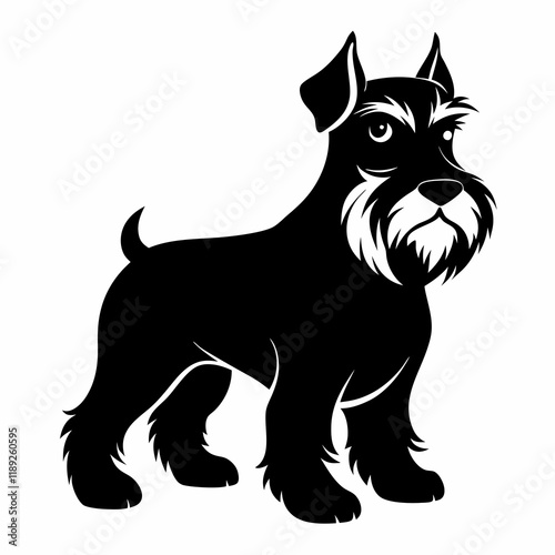 Schnauzer silhouette vector black animal on white background