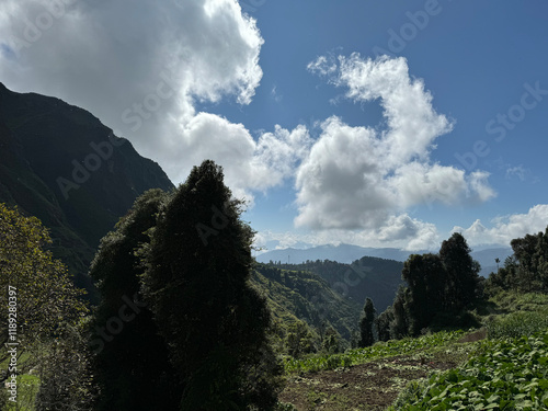 Clear Sky & Beautiful Nature - Chakrata, Uttarakhand photo