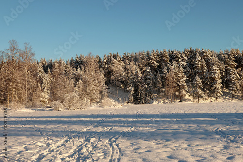Photography Winter