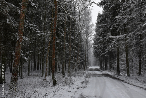 Winter in Warmia in Poland