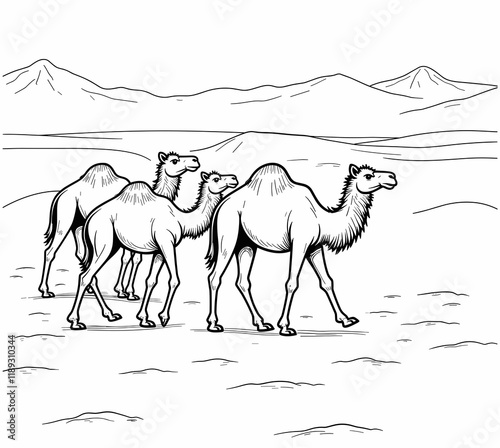 Four camels walking in a desert landscape photo