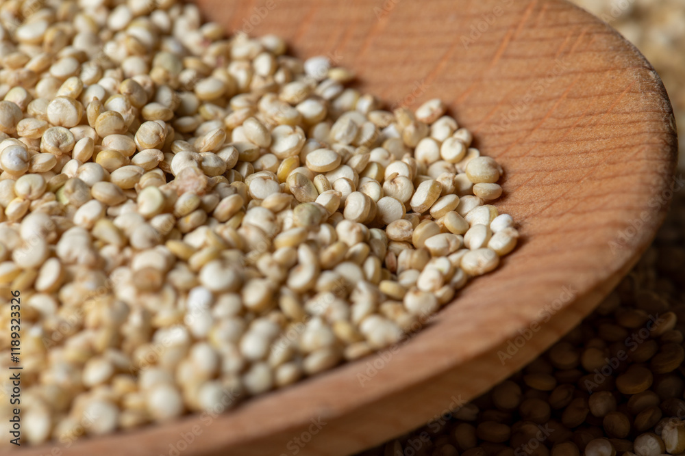 Macrophotography of raw quinoa grains Macrophotography of raw quinoa grains