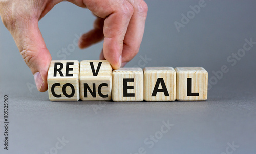 Reveal or conceal symbol. Businessman turns wooden cubes and changes word Conceal to Reveal. Beautiful grey background, copy space. Business reveal or conceal concept.