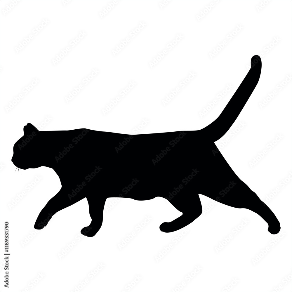 Animal Cat Silhouette vector illustration Animal Cat Silhouette vector illustration