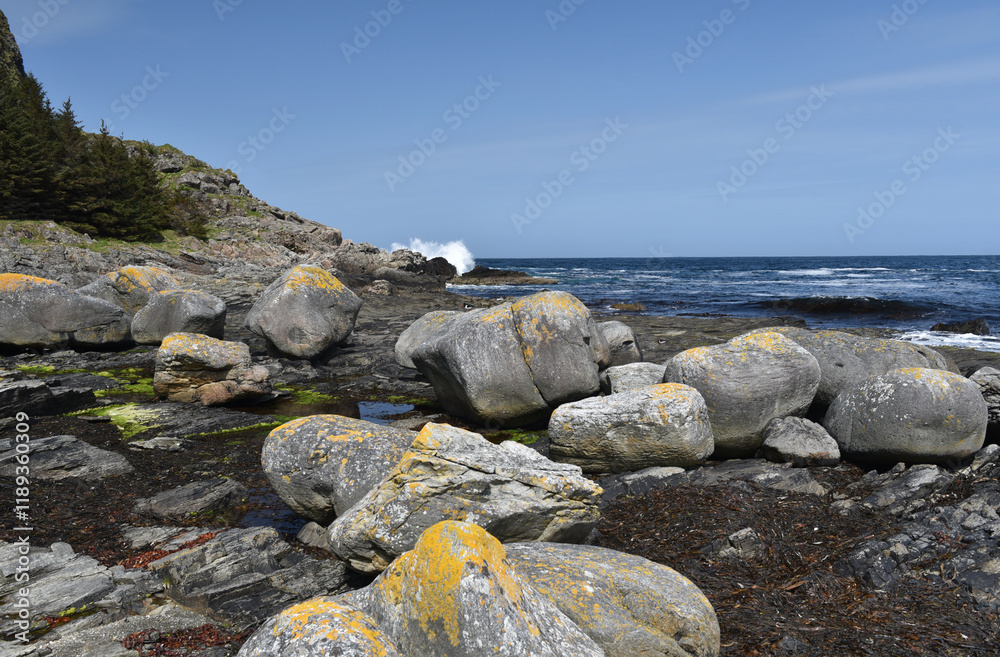 Vogelschutzinsel Runde in Norwegen Vogelschutzinsel Runde in Norwegen