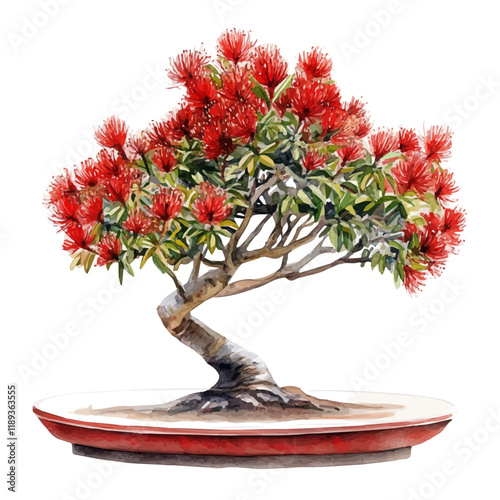 A watercolor vector painting of a Scarlet Bottlebrush bonsai, isolated on a white background. Scarlet Bottlebrush bonsai vector.

