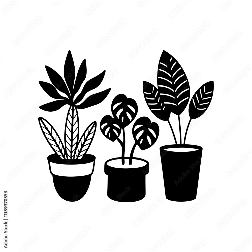 Fototapeta premium Indoor plants vector silhouette design
