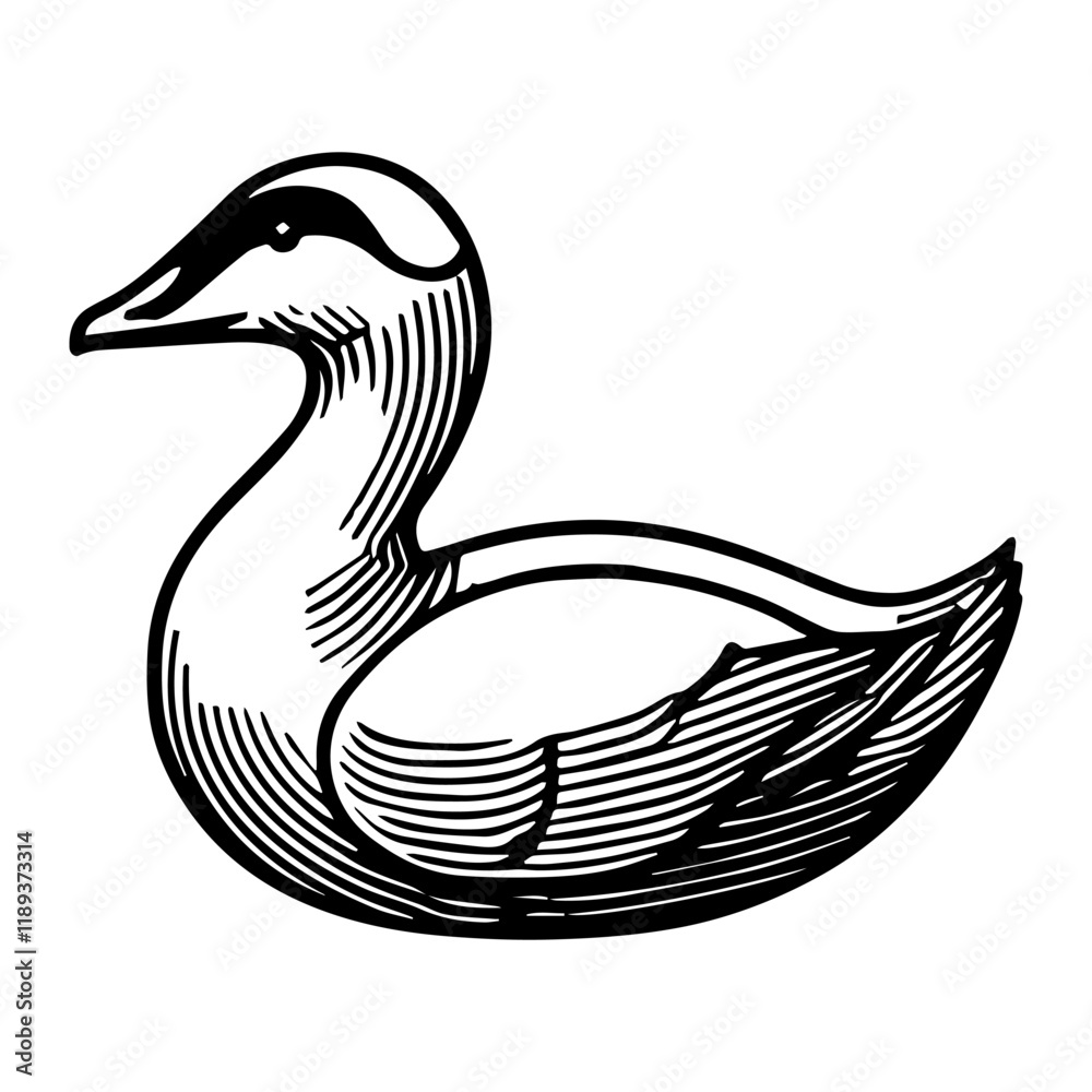 Simple Vector Icon of a Common Eider – Logo Design Illustration