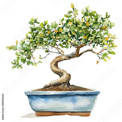 A watercolor vector painting of a Sandalwood bonsai, isolated on a white background. Sandalwood bonsai vector.

