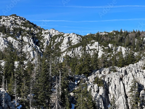 Strict reserve of rocky limestone peaks Hajducki and Rozanski kukovi - Northern Velebit National Park, Croatia (Strogi rezervat Hajdučki i Rožanski kukovi - Nacionalni park Sjeverni Velebit, Hrvatska) photo