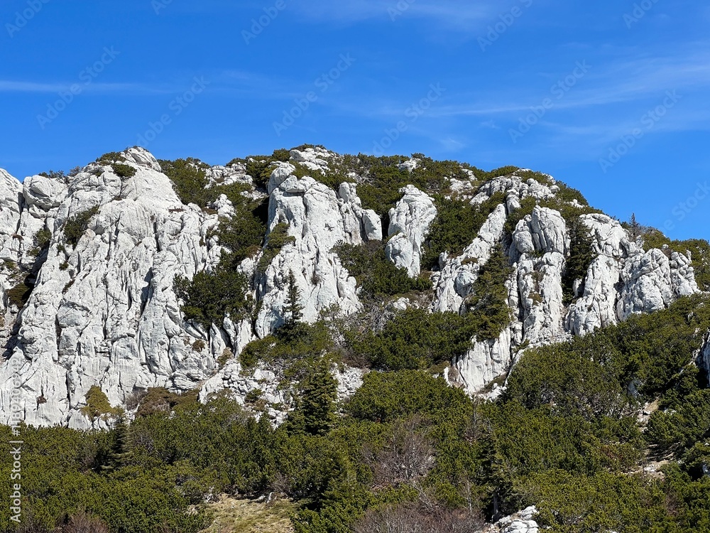 Strict reserve of rocky limestone peaks Hajducki and Rozanski kukovi - Northern Velebit National Park, Croatia (Strogi rezervat Hajdučki i Rožanski kukovi - Nacionalni park Sjeverni Velebit, Hrvatska) Strict reserve of rocky limestone peaks Hajducki and Rozanski kukovi - Northern Velebit National Park, Croatia (Strogi rezervat Hajdučki i Rožanski kukovi - Nacionalni park Sjeverni Velebit, Hrvatska)