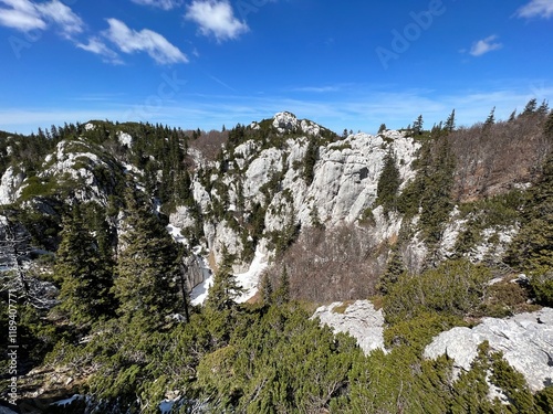 Strict reserve of rocky limestone peaks Hajducki and Rozanski kukovi - Northern Velebit National Park, Croatia (Strogi rezervat Hajdučki i Rožanski kukovi - Nacionalni park Sjeverni Velebit, Hrvatska) photo