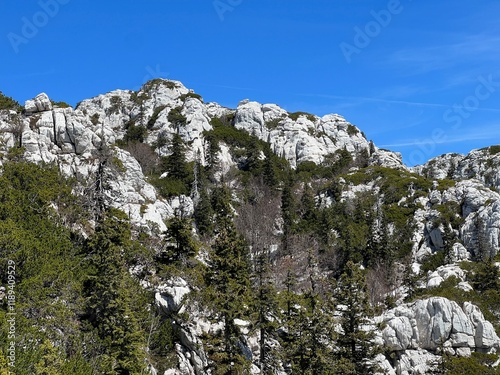 Strict reserve of rocky limestone peaks Hajducki and Rozanski kukovi - Northern Velebit National Park, Croatia (Strogi rezervat Hajdučki i Rožanski kukovi - Nacionalni park Sjeverni Velebit, Hrvatska) photo