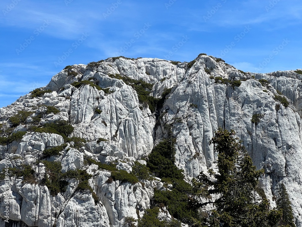 Strict reserve of rocky limestone peaks Hajducki and Rozanski kukovi - Northern Velebit National Park, Croatia (Strogi rezervat Hajdučki i Rožanski kukovi - Nacionalni park Sjeverni Velebit, Hrvatska) Strict reserve of rocky limestone peaks Hajducki and Rozanski kukovi - Northern Velebit National Park, Croatia (Strogi rezervat Hajdučki i Rožanski kukovi - Nacionalni park Sjeverni Velebit, Hrvatska)