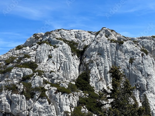 Strict reserve of rocky limestone peaks Hajducki and Rozanski kukovi - Northern Velebit National Park, Croatia (Strogi rezervat Hajdučki i Rožanski kukovi - Nacionalni park Sjeverni Velebit, Hrvatska) photo