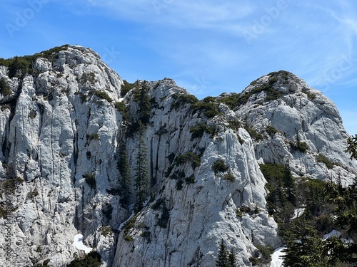 Strict reserve of rocky limestone peaks Hajducki and Rozanski kukovi - Northern Velebit National Park, Croatia (Strogi rezervat Hajdučki i Rožanski kukovi - Nacionalni park Sjeverni Velebit, Hrvatska) photo