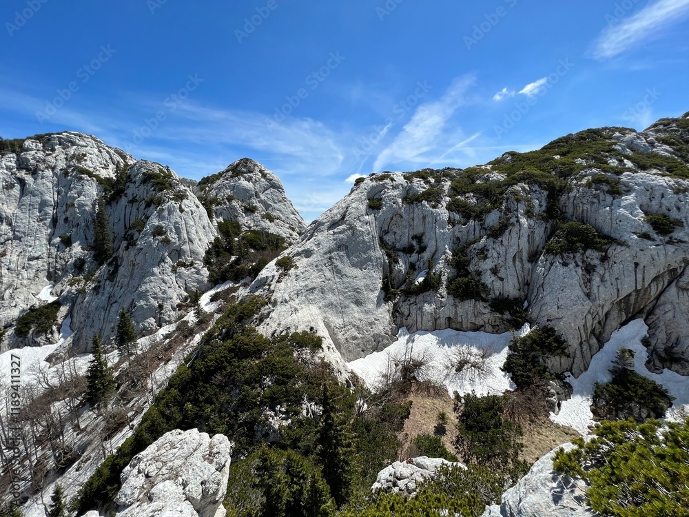 Strict reserve of rocky limestone peaks Hajducki and Rozanski kukovi - Northern Velebit National Park, Croatia (Strogi rezervat Hajdučki i Rožanski kukovi - Nacionalni park Sjeverni Velebit, Hrvatska) Strict reserve of rocky limestone peaks Hajducki and Rozanski kukovi - Northern Velebit National Park, Croatia (Strogi rezervat Hajdučki i Rožanski kukovi - Nacionalni park Sjeverni Velebit, Hrvatska)