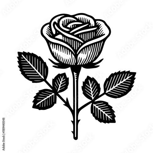 Simple Vector Icon of a Rosa Osiria – Logo Design Illustration photo
