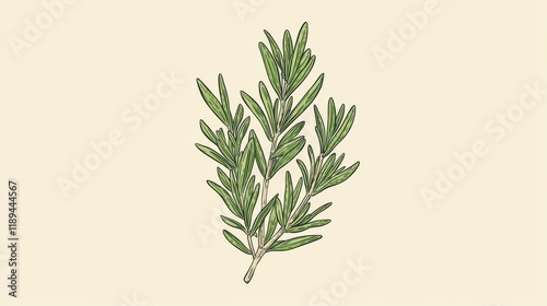 Wallpaper Mural Rosemary sprig icon in thin lines with soft gradients Torontodigital.ca