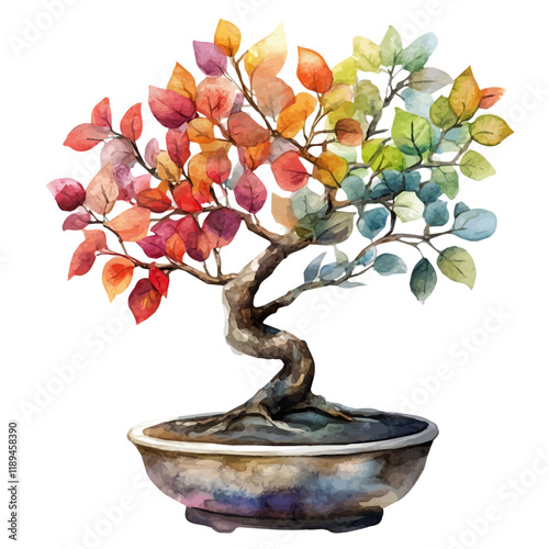 A watercolor vector painting of a Rain Tree Bonsai, isolated on a white background. Rain Tree Bonsai vector.

