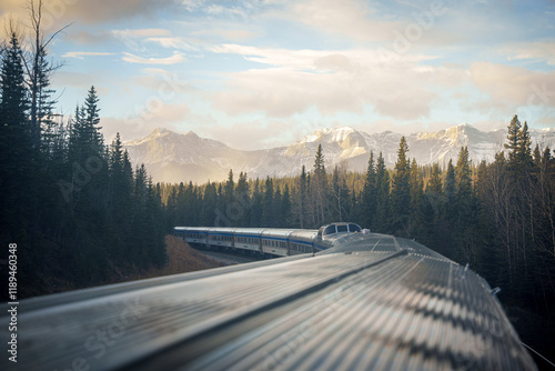 Bild auf Leinwand Train journey through the Canadian Rocky Mountains