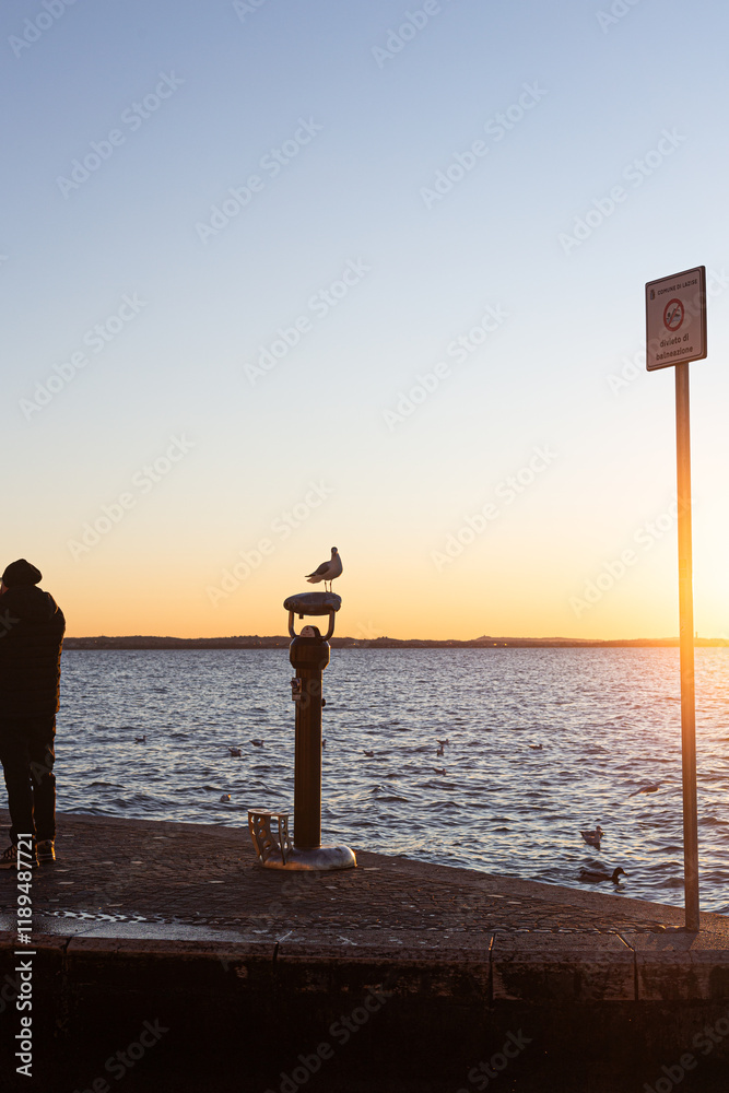 Detail of a seagull on a metal structure, with a sign and Lake Garda stretching to the horizon.