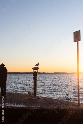 Obraz na płótnie Detail of a seagull on a metal structure, with a sign and Lake Garda stretching to the horizon. w salonie
